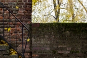 Andrea Hermann, Fotowalk, 60 mm