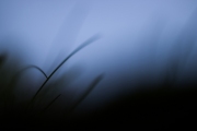 Andrea Hermann, Fotowalk, 60 mm