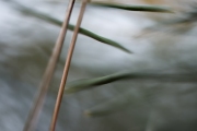Andrea Hermann, Fotowalk, 60 mm