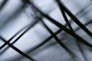 Andrea Hermann, Fotowalk, 60 mm