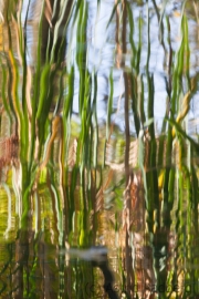 Spiegelung