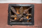 (c) Astrid Padberg, Fotowalk, 16 mm