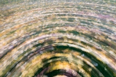 (c) Astrid Padberg, Fotowalk, 16 mm